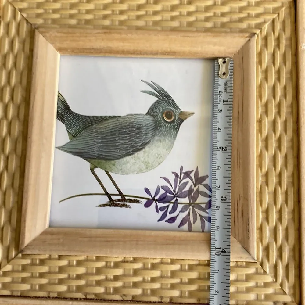 Rachel  Rachel Roy  Picture  Frame